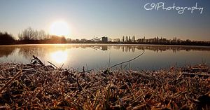Image post by @c91photography on Instagram
