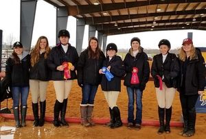 Image post by @appalachianequestrian on Instagram
