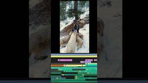 Video post by @epidemicsound on YouTube