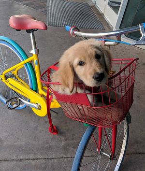 Image post by @google on Instagram