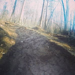 Image post by @blackdiamond_traildesigns on Instagram
