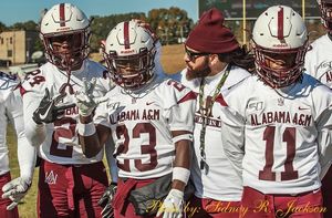 Image post by @aamufb on Instagram