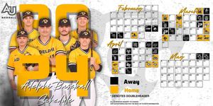 Image post by @AdelphiBaseball on Twitter/X