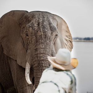 Image post by @chiawasafaris on Instagram