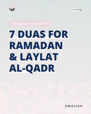 Image post by @amaliah_com on Instagram