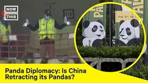 Video post by @nowthisnews on YouTube