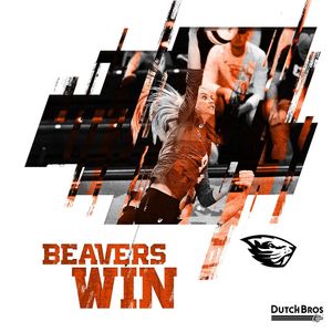 Image post by @beavervball on Instagram