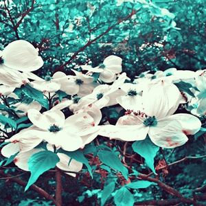 Image post by @_ohheytiff on Instagram