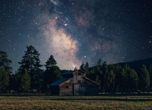 Image post by @trevorfrench on Instagram