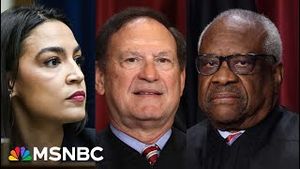 Video post by @msnbc on YouTube