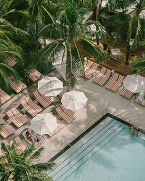 Image post by @wsouthbeach on Instagram