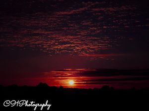 Image post by @c91photography on Instagram