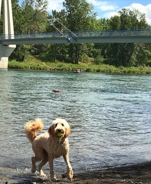 Image post by @cityofcalgary on Instagram