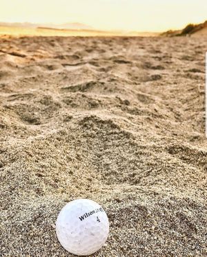Image post by @wilsongolfcanada on Instagram