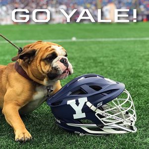 Image post by @cascade_lacrosse on Instagram