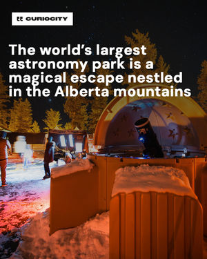 Image post by @curiocitycalgary on Instagram