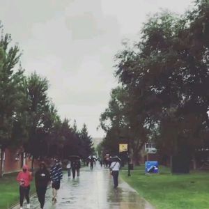 Image post by @nauflagstaff on Instagram
