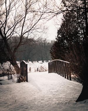 Image post by @dkleasa on Instagram