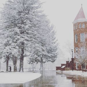 Image post by @nauflagstaff on Instagram