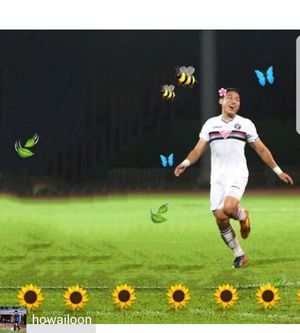 Image post by @sgpremierleague on Instagram