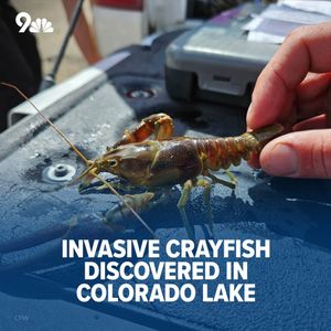 Image post by @9newsdenver on Instagram
