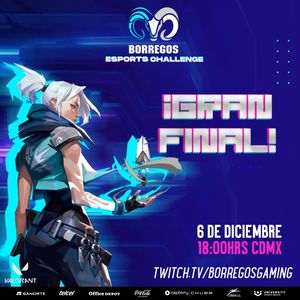 Image post by @borregosgaming on Instagram