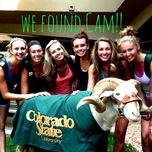 Image post by @csugoldenpoms on Instagram