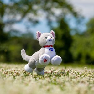 Image post by @buildabear on Instagram
