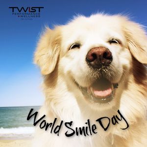 Image post by @twisttricities on Instagram