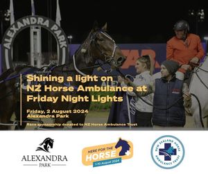 Image post by @nzhorseambulancetrust on Facebook