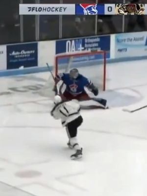 Video post by @flohockeytv on TikTok