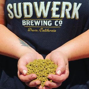 Image post by @sudwerkbrew on Instagram