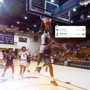 Image post by @pepperdinehoops on Instagram
