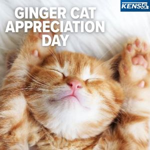 Image post by @kens5 on Instagram