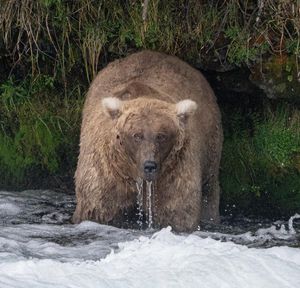 Image post by @nationalparkservice on Instagram