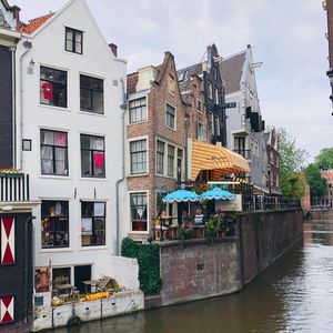 Image post by @oliviaharlandekker on Instagram