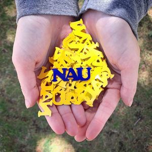Image post by @nauflagstaff on Instagram