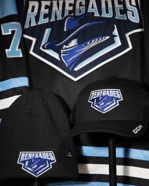 Image post by @purehockey on Instagram