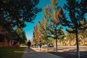 Image post by @nauflagstaff on Instagram