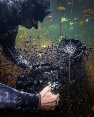 Image post by @reddigitalcinema on Instagram
