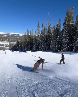 Image post by @j_skis on Instagram
