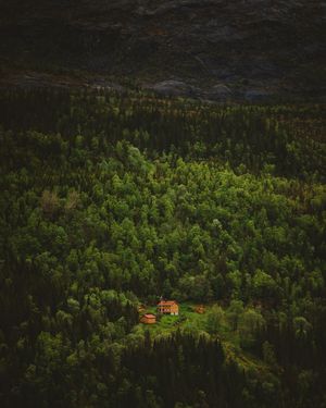 Image post by @olderelder on Instagram