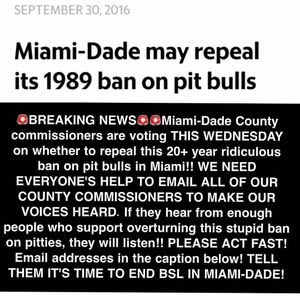 Image post by @manningsumner on Instagram