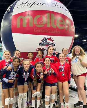 Image post by @a5vball on Instagram