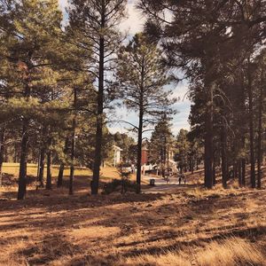 Image post by @nauflagstaff on Instagram