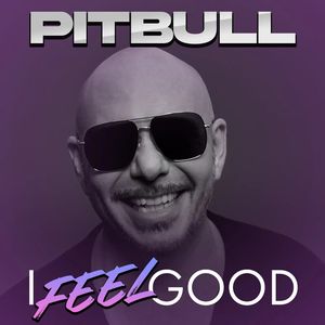 Image post by @pitbull on Instagram