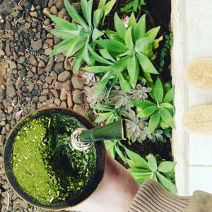 Image post by @elenamueller on Instagram