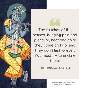 Image post by @pranakriya on Instagram