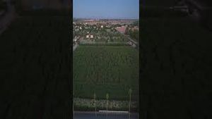 Video post by @abc15 on YouTube