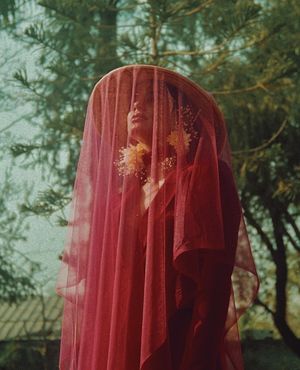 Image post by @vsco on Instagram